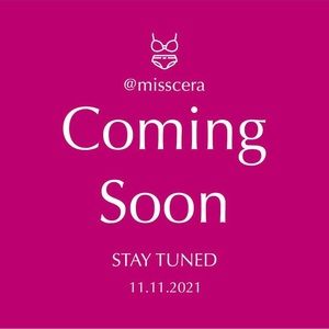 Online lingerie store grand opening on 11.11